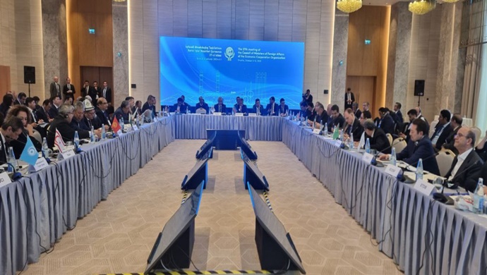 Participation in the meeting of the Council of Ministers Foreign of the Economic Cooperation Organization