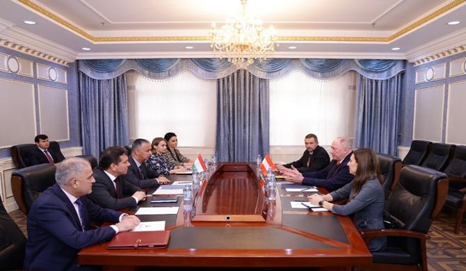 Meeting of the First Deputy Minister with the Ambassador of Austria