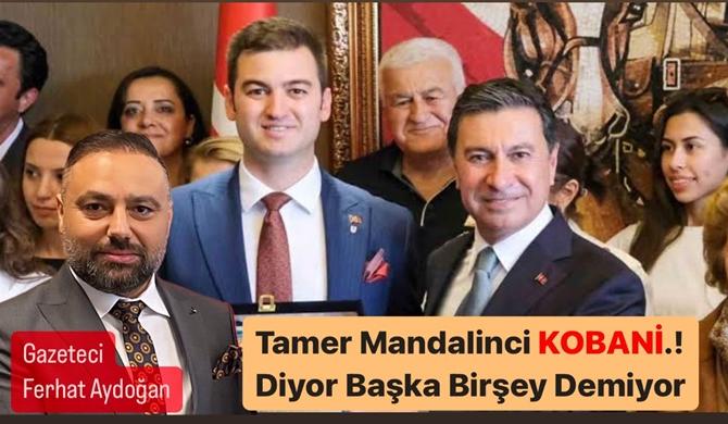 Tamer Mandalinci Kobani Diyor Başka Birşey Demiyor