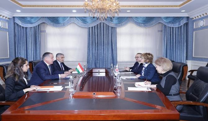 Meeting of the Minister of Foreign Affairs of the Republic of Tajikistan with the Head of the Regional Mission of the International Committee of the Red Cross (ICRC)