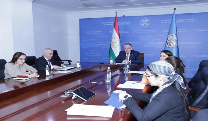 Online Meeting of the Minister of Foreign Affairs with the UNESCO Assistant Director-General for Natural Sciences