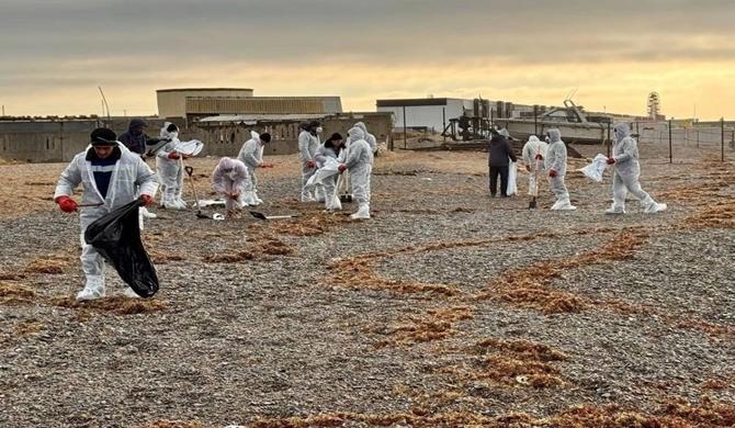 Birleşik Rusya’nın desteğiyle Kırım’da akaryakıt lekelerinin tespiti ve temizlenmesi için çalışmalar sürüyor